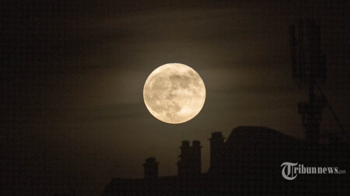 dampak-supermoon-yang-akan-terjadi-1-agustus-2023-malam-ini_077c8fe.jpg