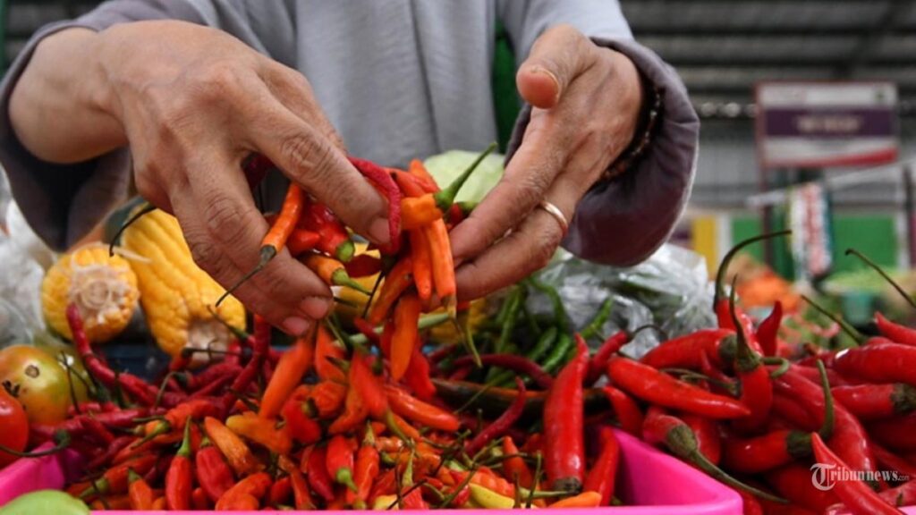 harga-pangan-hari-ini-cabai-merosot-daging-ayam-naik-jadi-rp-36-100-per-kg_e195150.jpg