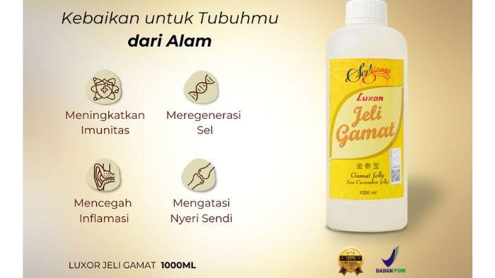 luxor-jeli-gamat-solusi-alami-untuk-kesehatan-tubuh-dengan-kandungan-teripang-emas_2cb5c50.jpg