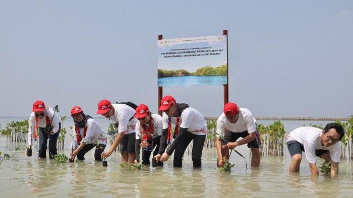 mitigasi-perubahan-iklim-ahm-tanam-3-200-batang-mangrove-di-pulau-pramuka_ec3844f.jpg