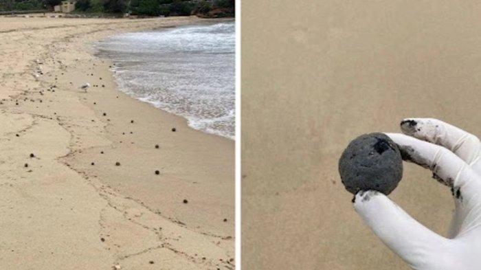 viral-fenomena-bola-bola-hitam-misterius-di-pantai-coogee-gemparkan-warga-sydney_a279d66.jpg