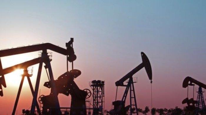 harga-minyak-dunia-pulih-brent-hingga-wti-naik-tipis-usai-tersengat-risalah-pemangkasan-opec_3d6f33e.jpg