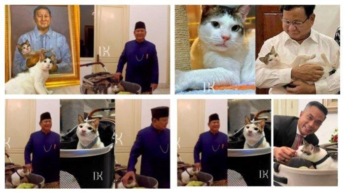 kucing-kesayangan-presiden-prabowo-bobby-kertanegara-viral-dijuluki-kucing-kasta-tertinggi_8515a1a.jpg