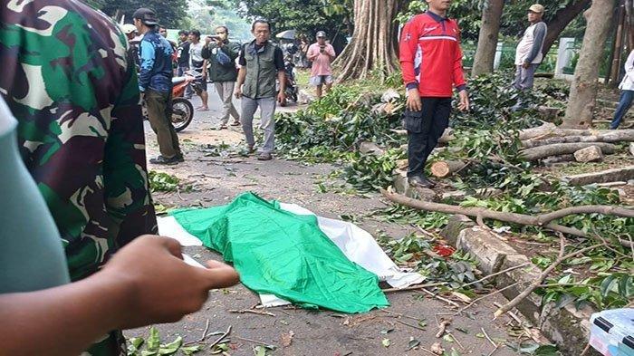 rafly-tewas-tertimpa-pohon-tumbang-di-jalan-tentara-pelajar-bogor-teman-yang-memboncengnya-trauma_281da69.jpg