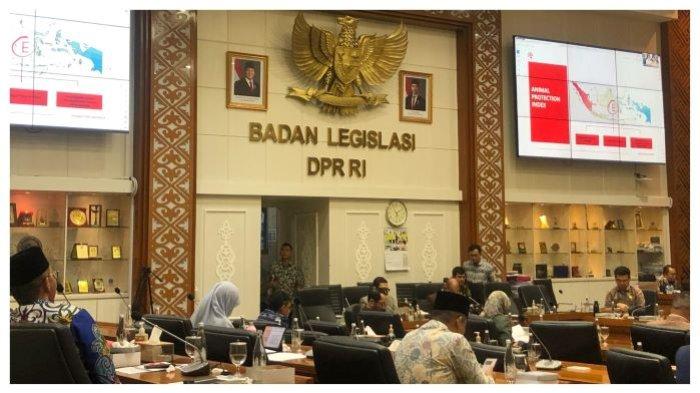 usulan-ruu-pelarangan-kekerasan-hewan-muncul-di-baleg-dpr_e8139ac.jpg