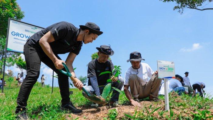 sinergi-kelompok-tani-dan-bri-peduli-selamatkan-lingkungan-dan-pulihkan-hutan-bekas-tambang_767d712.jpg