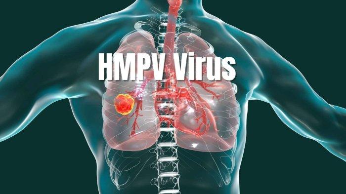 antisipasi-virus-hmpv-yang-masuk-ke-indonesia-masyarakat-diminta-jaga-pola-hidup-bersih_e05816a.jpg