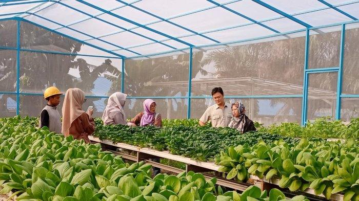 begini-dukungan-sektor-industri-untuk-berdayakan-petani-hidroponik-perempuan-di-jawa-barat_678b0af.jpg