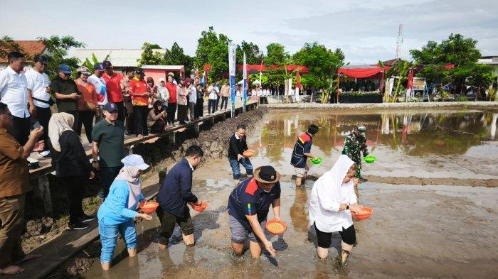 dukung-ketahanan-pangan-pgn-dan-brin-garap-20-hektare-lahan-padi-biosalin-di-semarang-jateng_27c3519.jpg