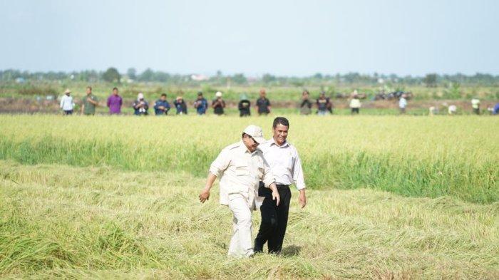 pemerintah-siapkan-100-ribu-transmigran-untuk-kelola-food-estate-di-kalimantan-hingga-papua_8f83ef9.jpg