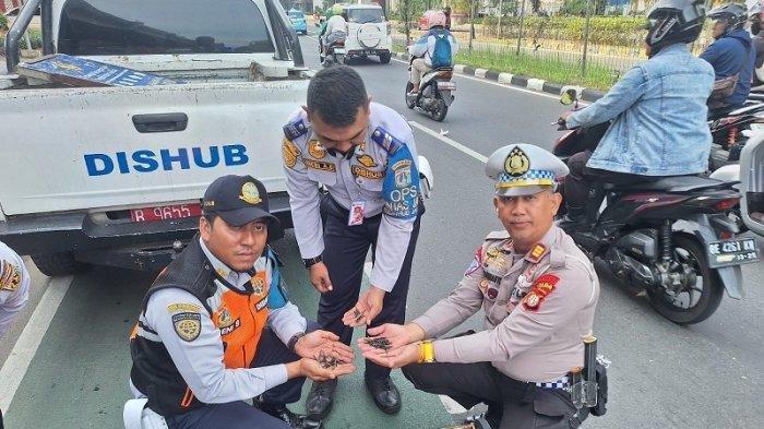 petugas-gabungan-sisir-ranjau-paku-di-jalan-di-panjaitan-jaktim-aman-setengah-kilogram-barang-bukti_b8a2d55.jpg